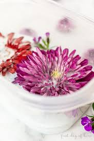 Try the hang and dry method, use silica or sand, enlist your microwave, or gently press them in a book. How To Use Silica Gel For Drying Flowers Complete Guide