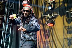 Snoop dogg net worth currently amounts to $120 million. Snoop Dogg Net Worth Family Life Special Friendship With Martha Stewart