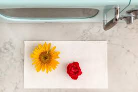 Check spelling or type a new query. How To Make Pressed Flowers In The Microwave Hgtv