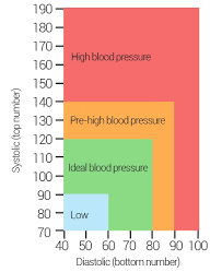 blood pressure my body my baby