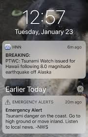 A sufficiently large earthquake magnitude and other information triggers a tsunami warning. Alaska Hit By 7 9 Magnitude Earthquake Tsunami Warning Lifted Al Com