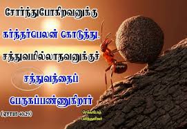 Pin On பன த த ள கள Tamil Bible Verse