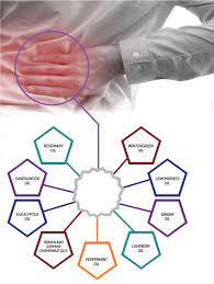 Correctback is the ultimate solution to back pain & back posture problems! Essential Oils For Back Pain