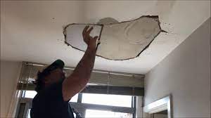 Water can damage ceilings in several ways, from causing discoloration as a result of dampness to total disintegration of the ceiling material. Water Damaged Section Of Plaster Ceiling Repair Youtube