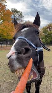 images?q=tbn:ANd9GcRZYgg3_dJM7Ai3jAypZ2x