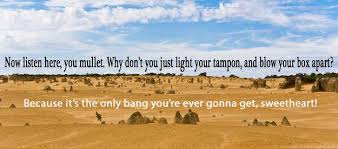 Priscilla Queen Of The Desert Quotes As Motivational Posters Desert Quote Motivational Posters Best Insults