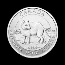 Image result for Arctic Silver 2005 1 Series