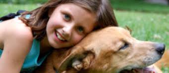 Contact Our Boarding Kennels, Buena Vista Kennels in Saskatoon