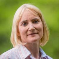 900+ "Deb Reed" profiles