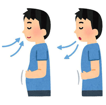 Nói Thêm Về Phương Pháp Thở Bụng - Thiền - THƯ VIỆN HOA SEN