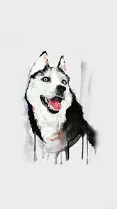 ayfer adli kullanicinin wallpapers duvar kagitlari panosundaki pin kopek husky cizim
