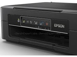 4,5 ppm en noir et blanc vitesse d'impression : Epson Expression Home Xp 245 Imprimantes