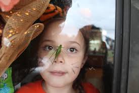 Me and my daughter saw a leaf bug