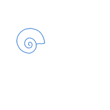 We did not find results for: How To Draw A Seashell Step By Step Easy Drawing Guides Drawing Howtos