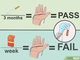 The most effective way to pass the urine test is to stop the consumption of marijuana beforehand. 4 Ways To Pass A Drug Test Wikihow
