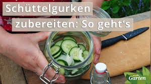 Der mdr garten war unterwegs auf der insel teneriffa, der größten der sieben kanareninseln. Rezept Frische Gurken Zu Schuttelgurken Verarbeiten Mdr Garten Youtube