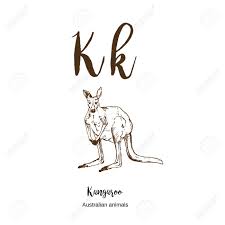 Drawing for kids is an online kids game, it's playable on all smartphones or tablets, such as iphone, ipad, samsung and other apple and android system. Kangaroo A To Z Alphabet Sketch Australian Animals Drawing Vector Illustration Vintage Hand Drawn With Lettering Ready For Print Paper Ratio Vector Art Letter K For Kangaroo Abc Royalty Free Cliparts Vectors
