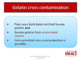 So this post is partially for vegetarians as well. Is Cow Gelatin Halal