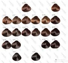 10 Best Goldwell Colorance Images Goldwell Color Chart
