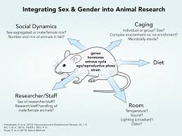 The individual will receive training in methods used to analyze research samples by flow cytometry, molecular studies, and with cell culture techniques. Animal Research Gendered Innovations