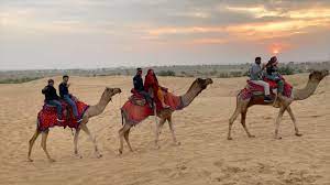 Camel ride, evening tea with light snacks, folk music and dance with bonfire. Camel Ride Sunset In Jaisalmer Desert Compressed Desert Camp In Sam Sand Dunes Jaisalmer Rajasthan Camp Jaisalmer