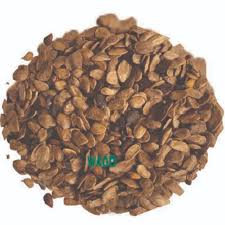 Image result for Hunteria umbellata