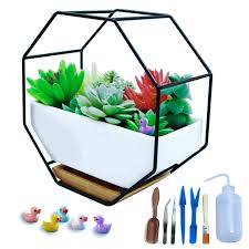 Maybe you would like to learn more about one of these? Zeetoon Modern Wall Planter Metal Wire Octagon Design Wall Mounted Shelves With Ceramic Flower Pot Air Plant Container Hanging Vase Desktop Succulents Planter Black Buy Online In China At China Desertcart Com Productid 165681994
