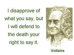 We Should Only Have Limitations On Freedom Of Speech If We Are Taking Away Someone Else S Rights Freedom Free Speech Quotes Voltaire Quotes Freedom Of Speech