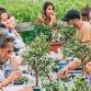 Bonsai Workshop at Medusa Brewing Company event image