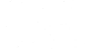 Последние твиты от the white house (@whitehouse). White Background 2 Brazil