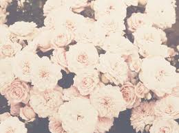 Small Revolution Against Those Who Choose Silly Pins Pictures Photos Over People Some Great People Here Like Poets Writer Flowers Flower Backgrounds Wallpaper