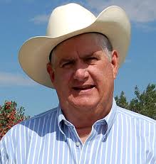 Cotton: To mow or not to mow?