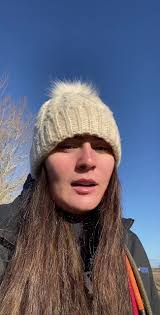 French Bulldog Poodle Accident