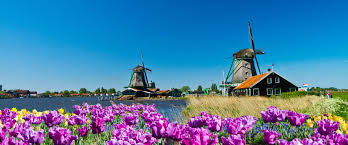 Send flowers to your friends or family in holland / the netherlands. Holland Belgium In Bloom Emerald Cruises