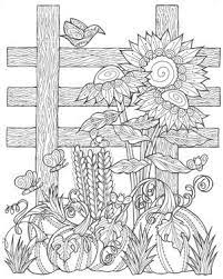 These sheets are all free to print! Sunflower Pumpkin Patch Coloring Page Pdf Favecrafts Com