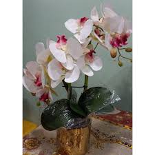Bunga orkid.ini memang mahal kalau jual di kedai.kalau nak jimat baik buat sendiri.jadi.jangan lupa untuk cuba dirumah. 14 Tangkai Orkid Rimbun Artificial Siap Pasu Siap