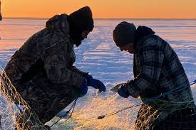 ᐅ Pigeon Lake Fishing Reports🎣• Alberta, Canada Fishing