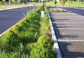 By establishing a personalized integrated pest management program for your garden, you can take. Clean Water Services