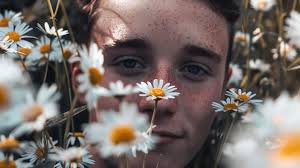 Springs innocence close up portrait amid daisy fields reflecting seasonal  joy