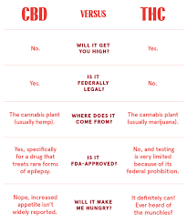 As you probably know, hemp must have less than.3% thc to be legal in the u.s. How Does Cbd Work And Will It Relieve Anxiety An Expert Answers
