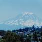 Titlow Park Loop Hike