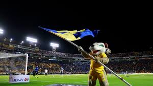 Entrada más reciente entrada antigua inicio. Por Que Se Llaman Los Tigres De La Uanl