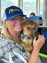 𝐀𝐥𝐥 𝐚𝐛𝐨𝐚𝐫𝐝 𝐭𝐡𝐞 𝐫𝐞𝐬𝐜𝐮𝐞 𝐟𝐞𝐫𝐫𝐲🛥️🐶❤️ Thank you to all  of our Land to Sea rescue volunteers for escorting these beautiful pups  over to Nantucket so that they can find their forever homes.