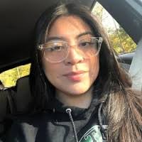 40+ "Yamaris" profiles