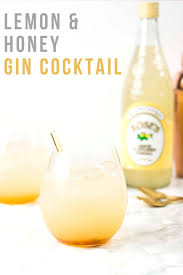Lemon And Honey Gin Tonic Recipe In 2020 Gin Cocktail Recipes Easy Drink Recipes Boozy Drinks