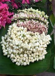 Pin On India