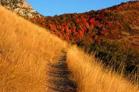 Una Sera D Autunno Landscape Paths Nature Wallpaper