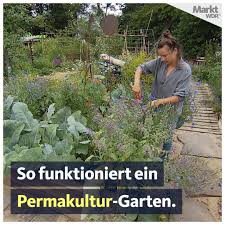 Weiter gehts, schritt für schritt zum permakultur garten. Swr Fernsehen Permakultur Garten So Geht S Facebook