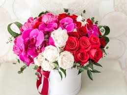 Check spelling or type a new query. Luxury Spring Mix Flower Box With Mixed Flowers Miami