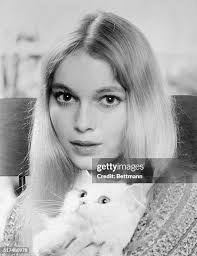 61点のAllison Mackenzieの写真と高解像度写真